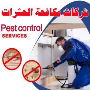 شركة مكافحة حشرات رخيصة299 رش حشرات - مكافحة حشرات وقوارض - شركة حشرات📞66991461 - مكافحة حشرات - شركة مكافحة حشرات - مكافحة حشرة - شركة حشرات - مكافحة صراصير - رش صراصير